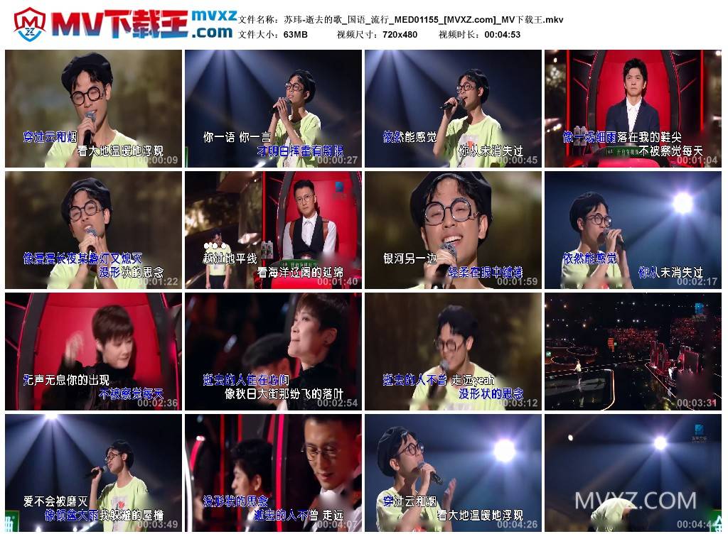 苏玮-逝去的歌_国语_流行_MED01155